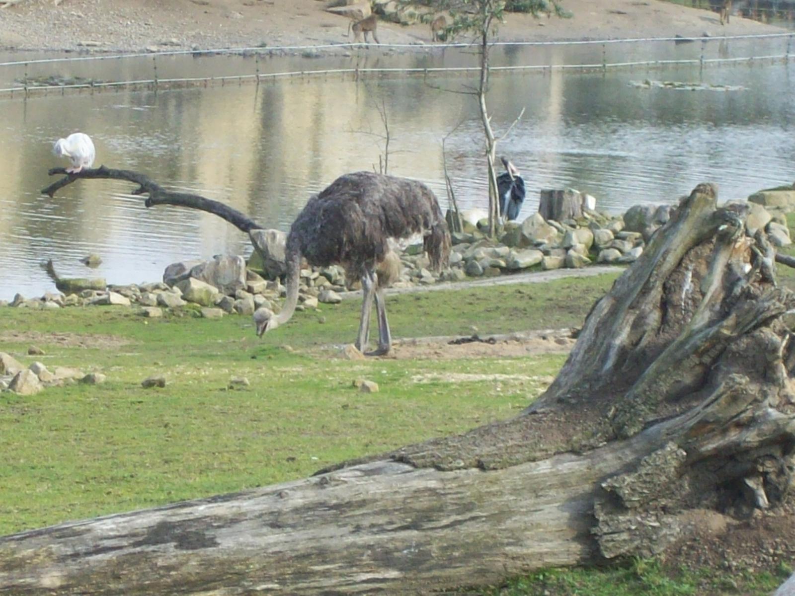 Zoom 18.10.2008-102.jpg